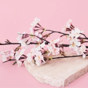 F&F Japanese Cherry Blossom Candle