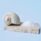 Flame and Focus Ocean Mist Fragrance Candle